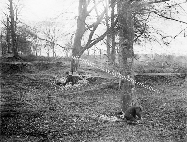 MAN & WOMAN MEASUREING TREE